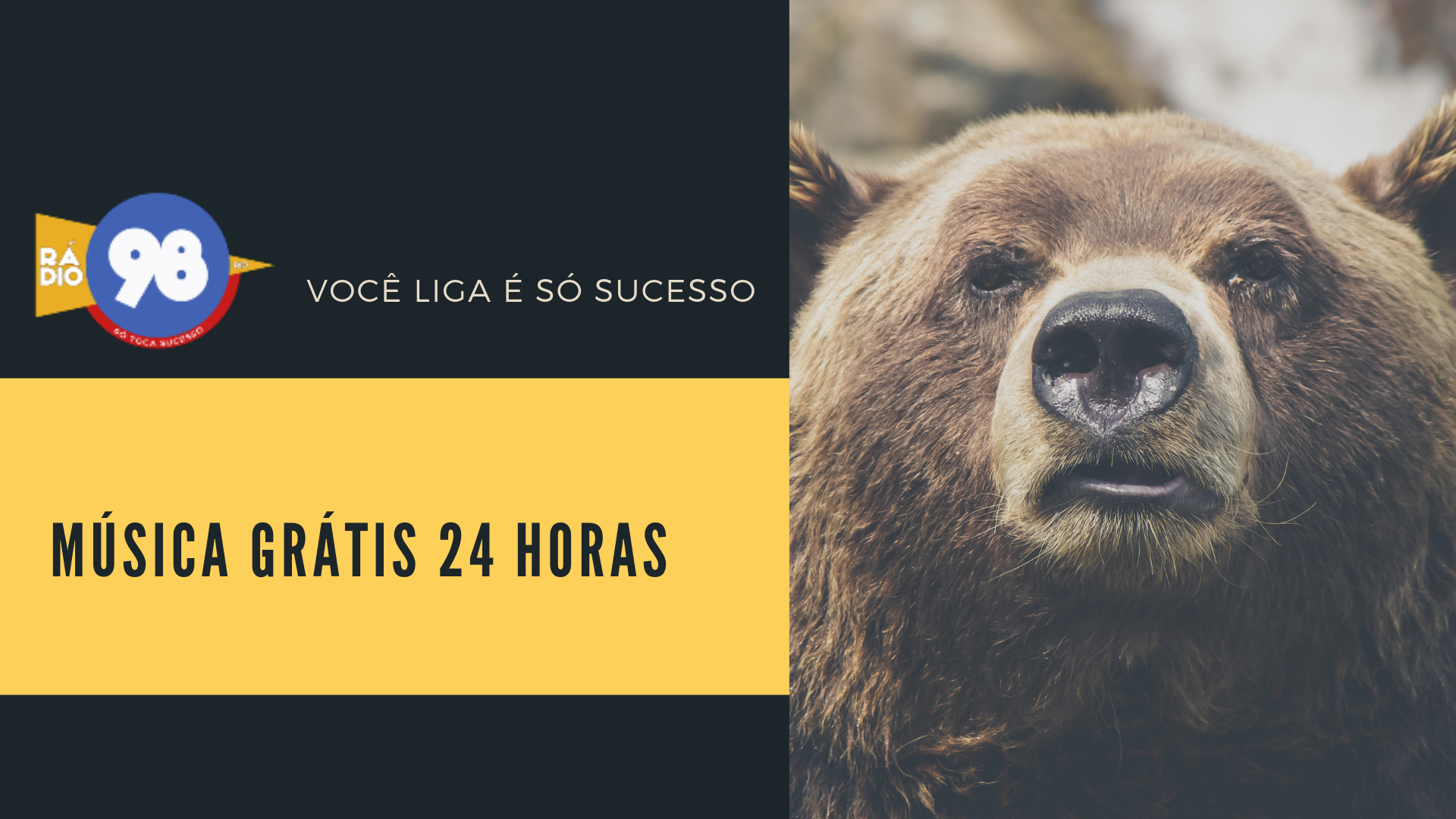 MÚSICA GRÁTIS 24 HORAS