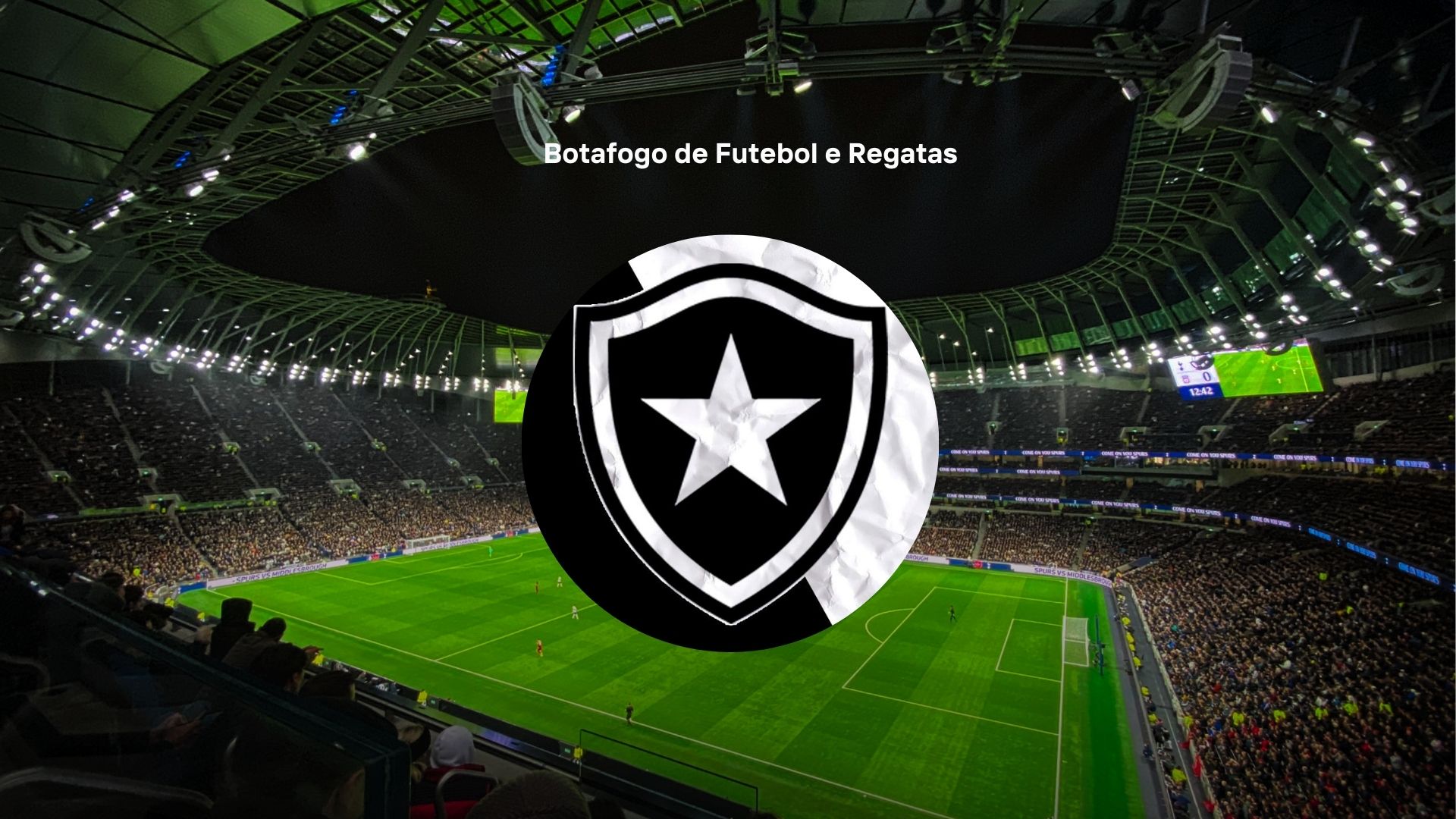 onde assistir botafogo hoje