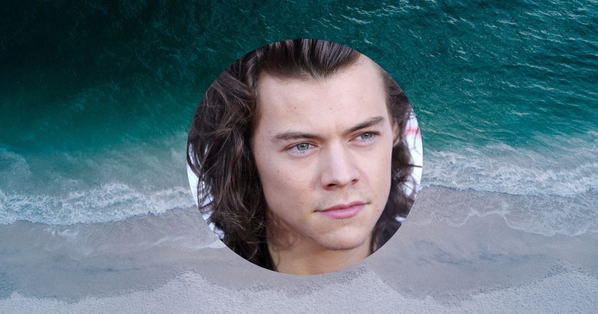 Harry Styles: Biografia, Discografia e Legado