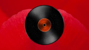 vinil