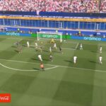 Paraguai Decreta a Primeira Zebra